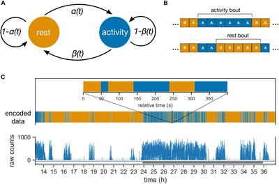 Regulation of Rest, Rather Than Activity, Underlies Day-Night Activity Differences in Mice